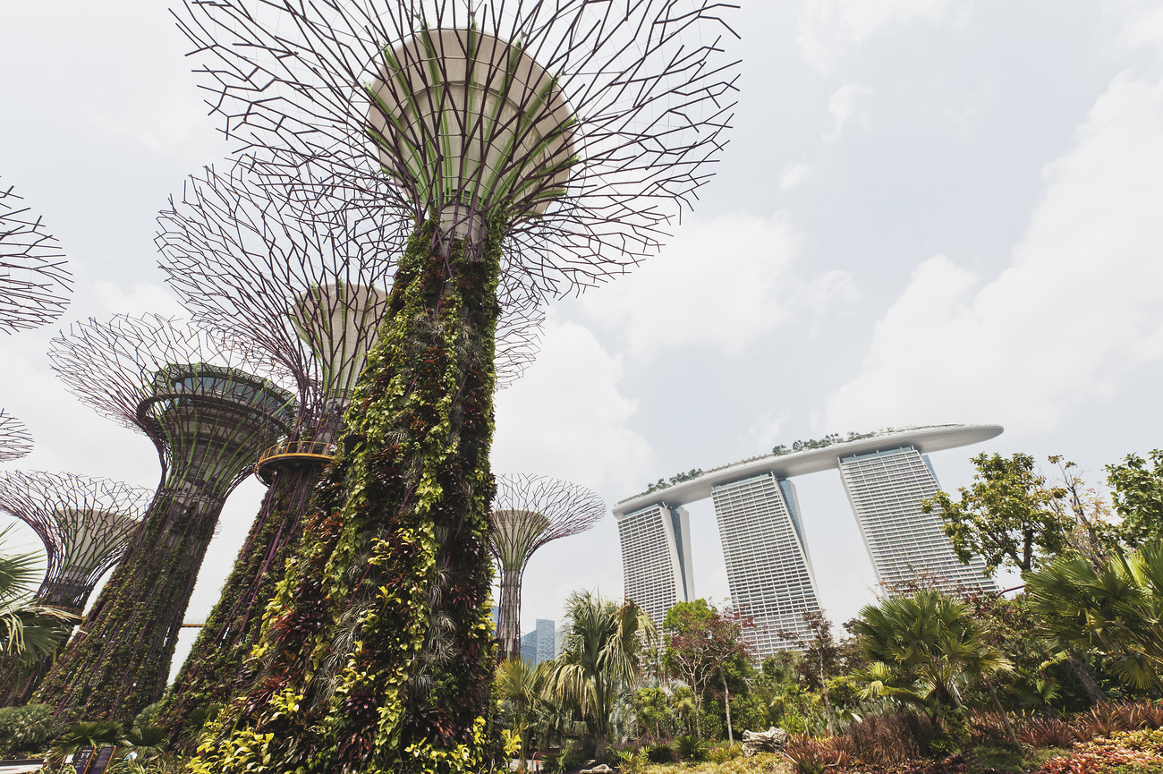 Singapur