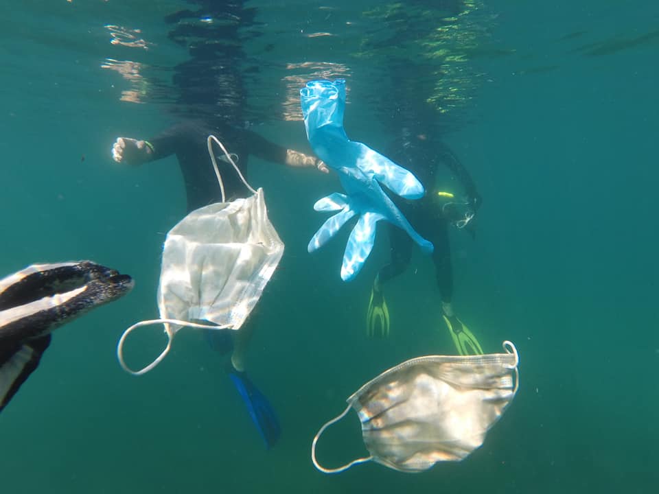 masques + gants flottent mer