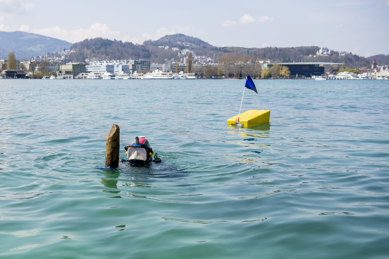 Diver with a wodden stilt